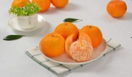 娱乐吃瓜酱橘子甜不甜,一场甜蜜的美食与娱乐碰撞之旅