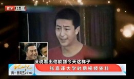 张嘉译电视剧爆料视频