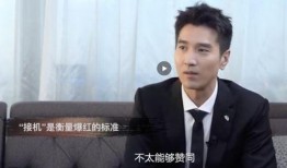 赵又廷采访爆料视频